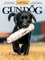 Gun Dog